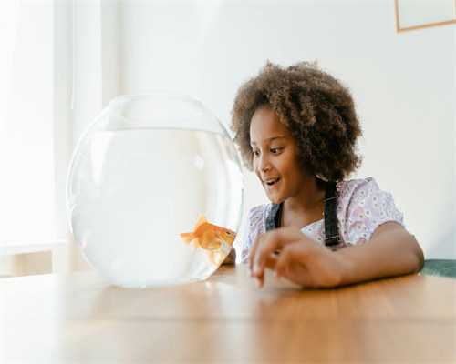 苏州助孕机构解析-了解苏州试管婴儿价格与流程