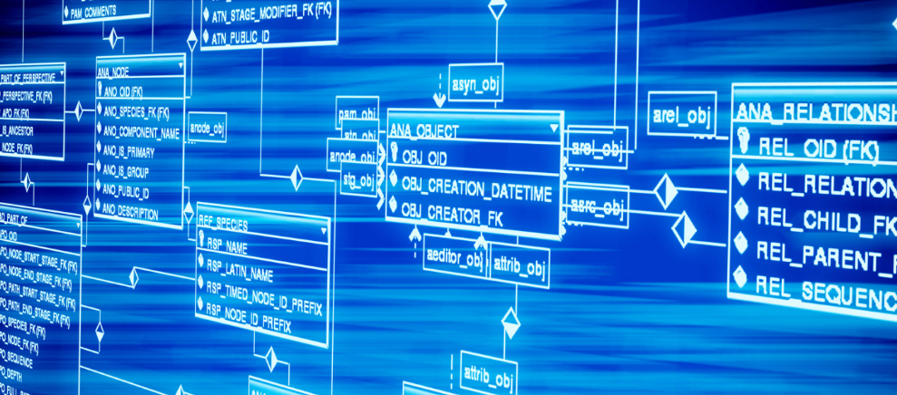 解析南京地区第三代试管婴儿的成功经验及费用明细